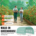 Walk-in Tunnel Greenhouse 19.4x9.7x6.5ft Steel Frame PE Cover