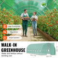 Walk-in Tunnel Greenhouse 27.38x9.5x7.38ft Galvanized PE