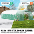 Greenhouse Tunnel 29.5x9.8x6.6ft Hoop House Peaked Roof Galvanised Steel