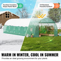 Walk-in Tunnel Greenhouse 29.2x9.7x6.5ft Galvanized PE Green