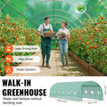 Walk-in Tunnel Greenhouse 29.2x9.7x6.5ft Galvanized PE Green