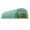 Walk-in Tunnel Greenhouse 29.2x9.7x6.5ft Galvanized PE Green