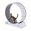 Cat Exercise Wheel 31.5in Large Running Wheel Brake Carpet
