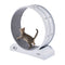 Cat Exercise Wheel 31.5in Large Running Wheel Brake Carpet