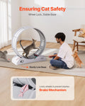 Cat Exercise Wheel 31.5in Large Running Wheel Brake Carpet