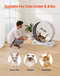 Cat Exercise Wheel 31.5in Large Running Wheel Brake Carpet