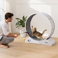 Cat Exercise Wheel 31.5in Large Running Wheel Brake Carpet