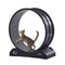 Cat Exercise Wheel 31.5in Large Running Treadmill Quiet Black