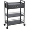 Beauty Salon Trolley Cart, 3-Tier Hair Salon Stations Cabinet for Stylist with Lockable Drawer, MDF Rolling Storage Station with 4 Wheels (2 Lockable) for Beauty SPA Barbershop Tattoo