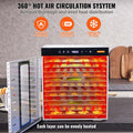 10 Trays Food Dehydrator Machine Stainless Steel 1000W Jerky Fruit Drying