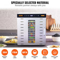 Devanti 10 Tray Food Dehydrator 1000W Stainless Steel Jerky