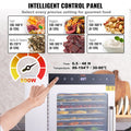 Food Dehydrator 10 Tray Stainless Steel 800W Jerky BPA-free Fruit
