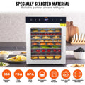 Food Dehydrator 10 Tray Stainless Steel 800W Jerky BPA-free Fruit