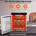 Food Dehydrator 10 Tray Stainless Steel 800W Jerky BPA-free Fruit