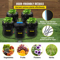 DWC Hydroponic System 5 Gallon 5 Buckets Deep Water Culture Grow Kit