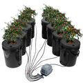 DWC Hydroponics System Deep Water Culture 8 Bucket with Air Pump