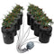 DWC Hydroponics System Deep Water Culture 8 Bucket with Air Pump