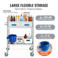 Stainless Steel 2 Layer Medical Utility Cart Lockable Wheels Drawers