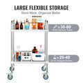 Stainless Steel 2-Shelf Rolling Cart Lab Dental Utility Swivel Casters