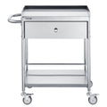 2 Layer Stainless Steel Medical Cart 100kg Utility Drawer Silent
