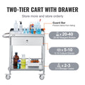 2 Layer Stainless Steel Medical Cart 100kg Utility Drawer Silent