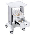 2 Tier Medical Cart Mobile Lab Cart Drawer White 80cm