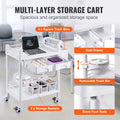 2 Tier Lab Cart Mobile Medical Trolley 2 Drawers White