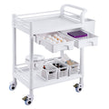 2 Tier Lab Cart Mobile Medical Trolley 2 Drawers White