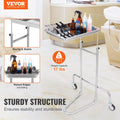 Stainless Steel Lab Cart Single Tray 2 Silent Wheels Clinic