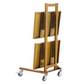 2 Tiers Stainless Steel Lab Carts with 2 Trays & 4 Silent Wheels Golden