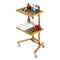 Stainless Steel Lab Cart 2 Tier 4 Wheels Golden