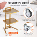 Stainless Steel Lab Cart 2 Tier 4 Wheels Golden