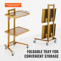 Stainless Steel Lab Cart 2 Tier 4 Wheels Golden