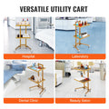 Stainless Steel Lab Cart 2 Tier 4 Wheels Golden