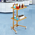 Stainless Steel Lab Cart 2 Tier 4 Wheels Golden