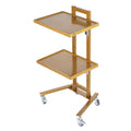 Stainless Steel Lab Cart 2 Tier 4 Wheels Golden