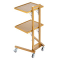 Stainless Steel Lab Cart 2 Tier 4 Wheels Golden