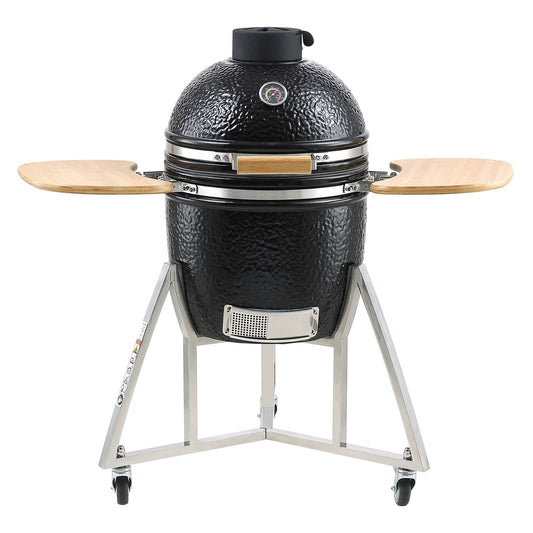 Portable Charcoal Grill, Propane Gas Grills with Cover and Cart, Heavy Duty Stainless Steel BBQ Grill, Mini Smoker for Outdoor Cooking, Barbecue Camping, Picnic, and Backyard, Black