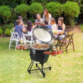 Portable Propane Gas Grill Charcoal BBQ Smoker Stainless Steel