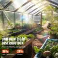 Greenhouse Plastic Sheeting 10x40ft 6mil Clear Polyethylene Film