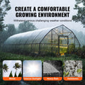 Greenhouse Plastic Sheeting 12m x 50ft 6mil Clear Polyethylene