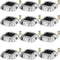 Solar Driveway Lights 12-Pack 6 LED Bright White Waterproof Outdoor