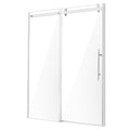 Frameless Shower Door 58-59