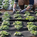 Geotextile Fabric 3.0x30.5m 8OZ Weed Control Ground Cover Non-Woven