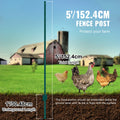 5FT T-Post Fence 10 Pack Heavy Duty Metal Green Posts