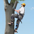 Tree Climbing Spikes 159kg Steel Arborist Spurs Height Adjustable