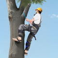 VEVOR Tree Climbing Spikes Set Adjustable Steel Spurs Harness 159kg