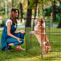 Dog Playpen 8 Panel 30