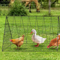 Chicken Tunnel 300x71x61.5cm Portable Coop Run Yard Chickens Ducks