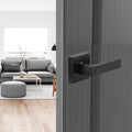 Door Handle Privacy Lock 10 Pack Matte Black Lever Reversible